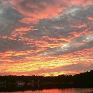 Meet your Posher, Alison